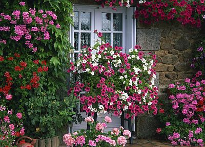 garden, summer, France, farmhouse - desktop wallpaper