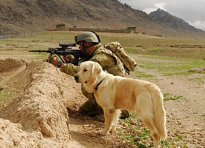 soldier, dogs, AUG - desktop wallpaper
