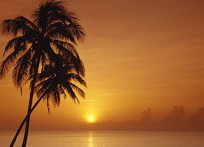 sunset, orange, Cuba, palm trees - random desktop wallpaper