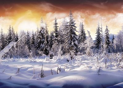 landscapes, winter, snow, trees, snow landscapes - duplicate desktop wallpaper