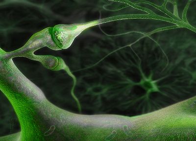 neurons - related desktop wallpaper