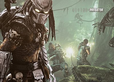 predator, Aliens vs Predator movie, Alien - random desktop wallpaper