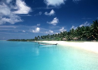 paradise, islands, palm trees - desktop wallpaper