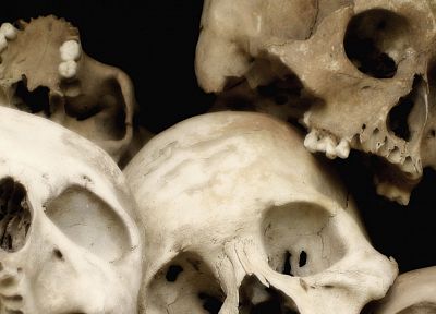 skulls - related desktop wallpaper
