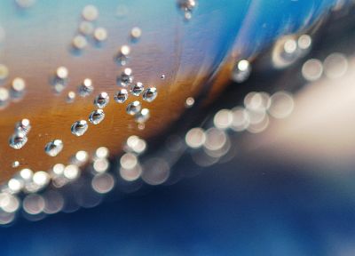 water, bubbles, water drops, macro, raindrops, Ray SchÃÂ¶nberger Photography - random desktop wallpaper