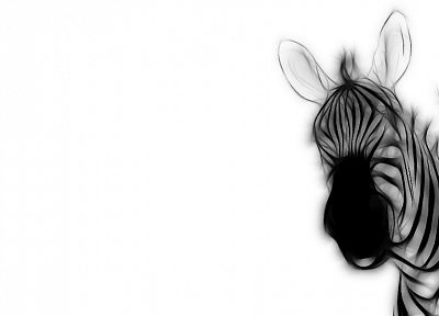 Fractalius, zebras - desktop wallpaper