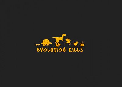 evolution - related desktop wallpaper