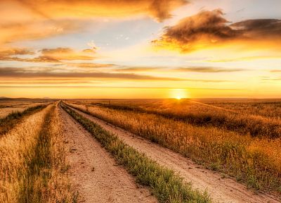 sunrise, fields, dirt roads, skies - desktop wallpaper