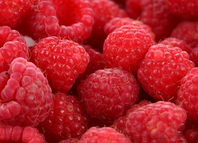 fruits, raspberries - related desktop wallpaper