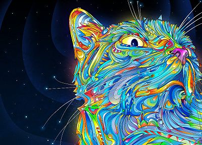 outer space, cats, rainbows, trippy, Matei Apostolescu - desktop wallpaper
