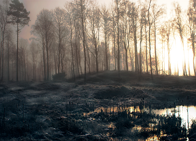 trees, forests, mist, Slender Man - desktop wallpaper