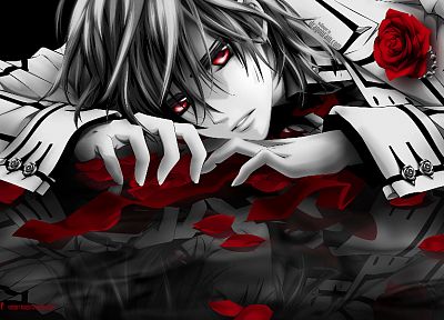 Vampire Knight, anime, Kuran Kaname - desktop wallpaper