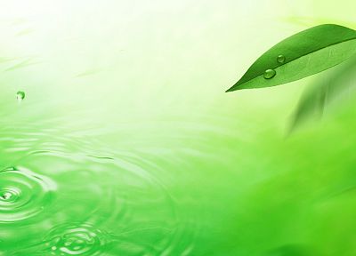 green, water, nature, leaves - random desktop wallpaper