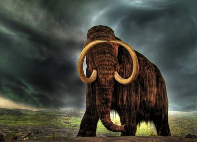 animals, One Million Years B.C., mammoth - desktop wallpaper