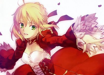 Fate/Stay Night, Saber, Fate/EXTRA, Saber Extra, Fate series - related desktop wallpaper