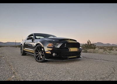 Ford Shelby, GT, anniversary - related desktop wallpaper