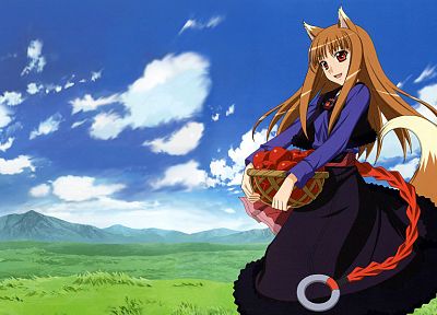 Spice and Wolf, animal ears, anime, Holo The Wise Wolf - random desktop wallpaper