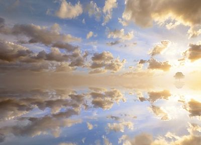 clouds, trees, skyscapes - duplicate desktop wallpaper