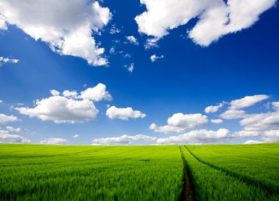 clouds, landscapes, nature, fields, meadows, skyscapes - related desktop wallpaper