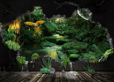 jungle, plants - random desktop wallpaper