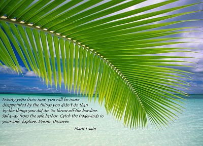 quotes, Mark Twain, beaches - random desktop wallpaper