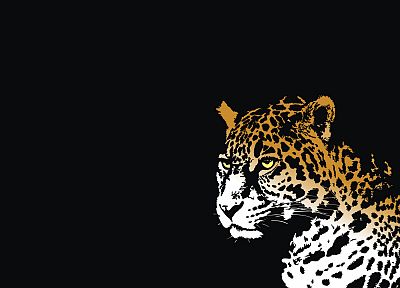 jaguars - desktop wallpaper