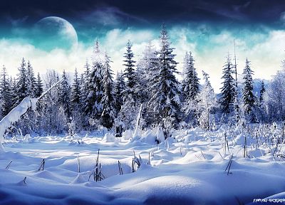 winter, snow, Moon, Wonderland - desktop wallpaper