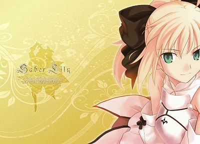 Fate/Stay Night, Fate Unlimited Codes, anime, Saber, soft shading, Saber Lily, detached sleeves, Fate series - random desktop wallpaper
