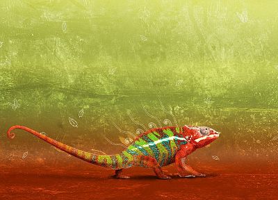 chameleons - duplicate desktop wallpaper