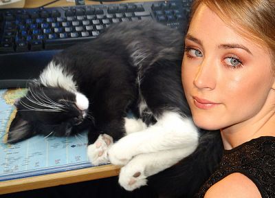 women, cats, actress, Saoirse Ronan - related desktop wallpaper