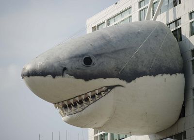 buildings, sharks - desktop wallpaper