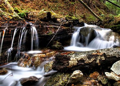 nature, forests, streams, HDR photography - random desktop wallpaper