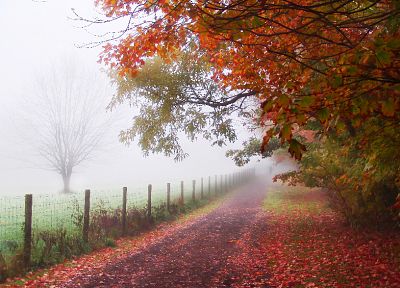 autumn, fog, roads - random desktop wallpaper