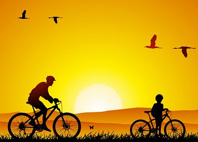 birds, bicycles - random desktop wallpaper