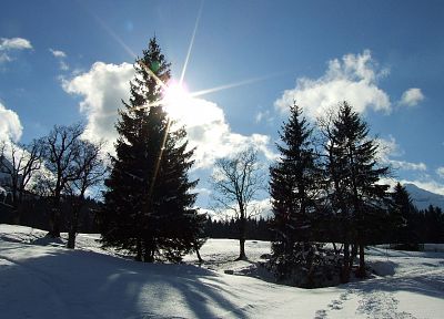 landscapes, nature, winter, snow, trees, HDR photography - desktop wallpaper