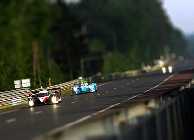 Le Mans, Peugeot, race, tilt-shift - duplicate desktop wallpaper