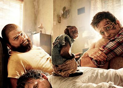 Zach Galifianakis, Bradley Cooper, The Hangover Part II, Ed Helms - random desktop wallpaper