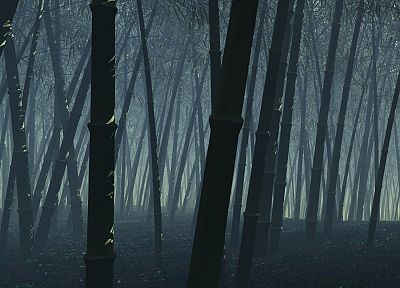forests, bamboo, digital art - related desktop wallpaper