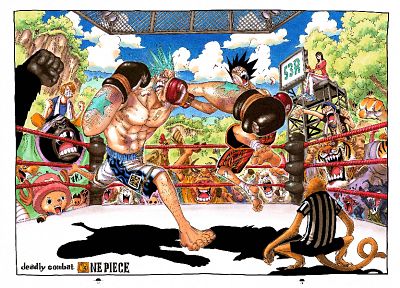 Robin, animals, One Piece (anime), chopper, Franky (One Piece), Monkey D Luffy, Usopp, Sanji (One Piece) - desktop wallpaper