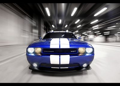 Dodge Challenger, Dodge Challenger SRT8 - desktop wallpaper