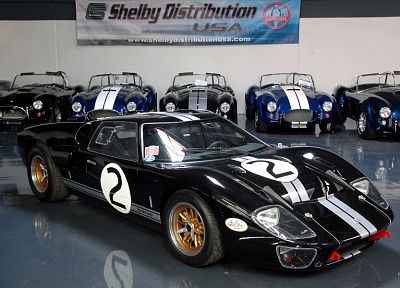 cars, Ford GT40, Ford Shelby - duplicate desktop wallpaper