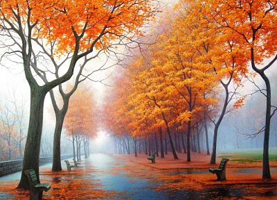 water, landscapes, trees, autumn, rain, orange, leaves, fog, bench, parks - desktop wallpaper