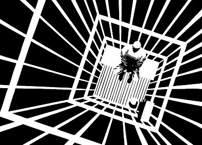 black and white, cage - random desktop wallpaper