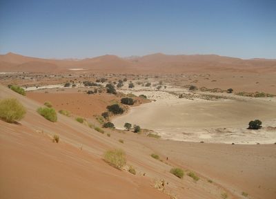 deserts, sand dunes, Africa, shrubs, Namib Desert - duplicate desktop wallpaper
