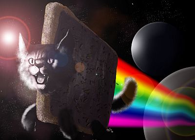 outer space, Nyan Cat, Kingaby - random desktop wallpaper