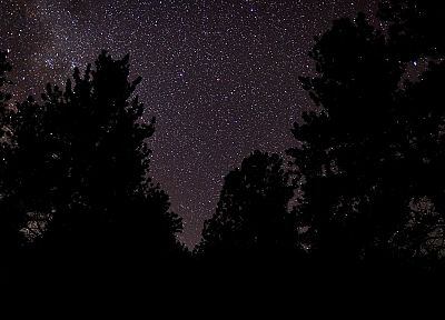 stars, silhouettes, skyscapes - related desktop wallpaper