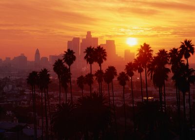 Los Angeles, palm trees - random desktop wallpaper