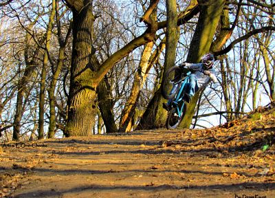 bike, forests, bicycles, sports, Ukraine, extreme sports, vehicles, freeride, mountain bikes - related desktop wallpaper