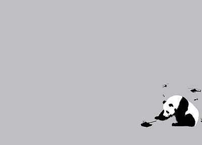 funny, panda bears - duplicate desktop wallpaper
