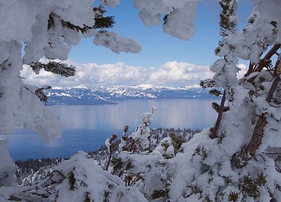 landscapes, nature, winter, snow, trees, Tahoe - desktop wallpaper